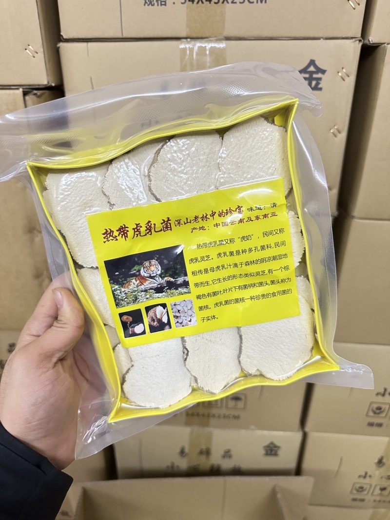 虎乳菌/虎乳灵芝纯手工切片半斤装价格优势包邮到家