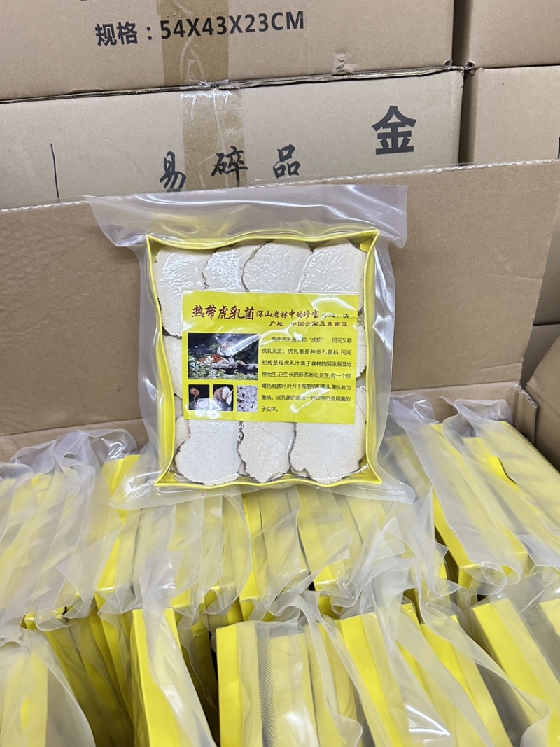 虎乳菌/虎乳灵芝纯手工切片半斤装价格优势包邮到家