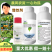 生农益泽乙基化和甲基化植物油酸乙酯助剂增效剂油农用渗透剂