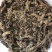 宽叶红心石菖蒲种籽子石菖蒲育苗种籽大量供应