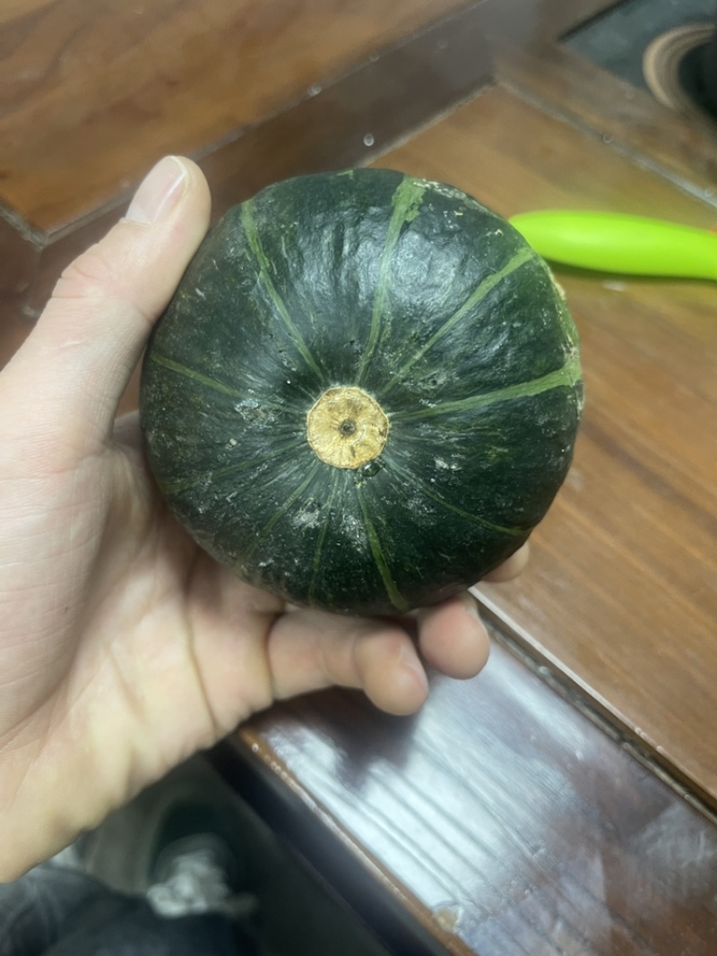贝贝南瓜专业代发对接抖音快手拼多多对接各大平台一件代发