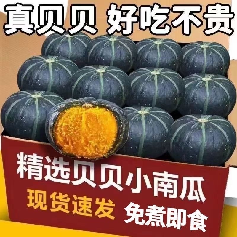 贝贝南瓜专业代发对接抖音快手拼多多对接各大平台一件代发