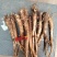 精品高含量桔梗，3—5年生长期，含量高，个头大，质量好，