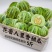 精品花蕾甜瓜货源充足量大从优质量保证欢迎咨询