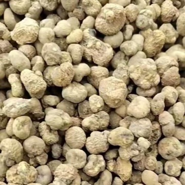 陕西汉中精品药材元胡，颗粒大，含量高，