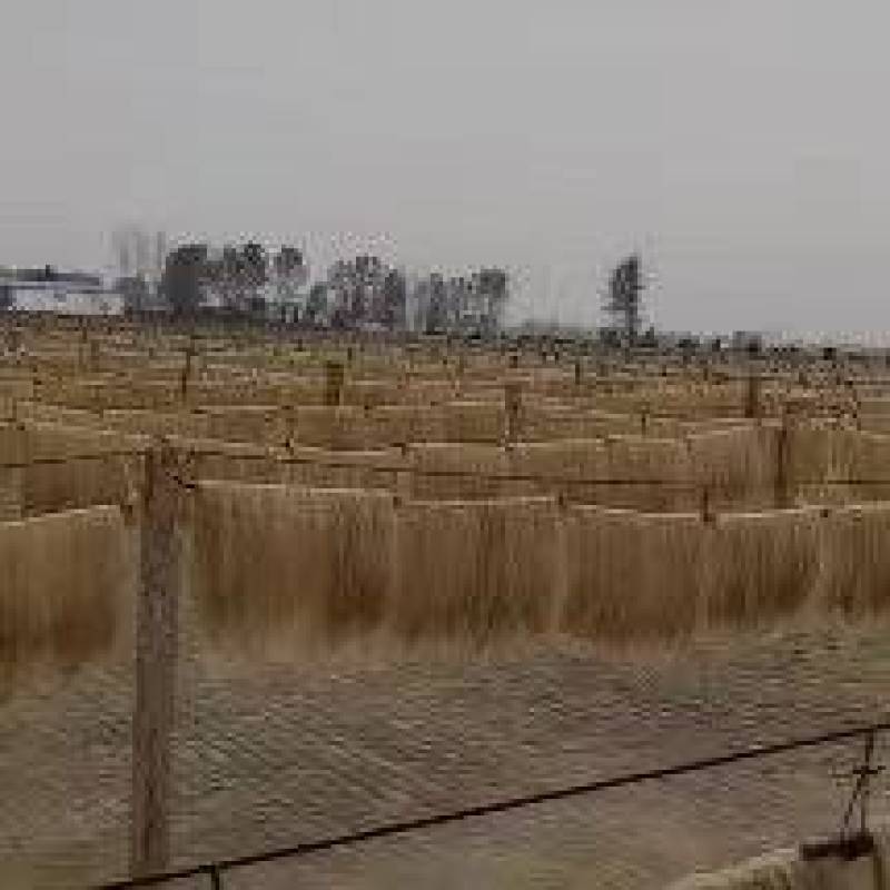 【供货电商】红薯粉条自产自销足斤足两供货量大进店下单
