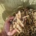 甘肃优质螺丝菜精品鲜货全国发货
