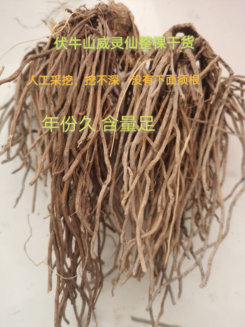 伏牛山威灵仙，非种植货源，种子也有，欢迎咨询！