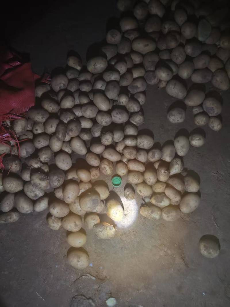 张北沽源县V7，价格合适欢迎到窑里来看货，只发整车。