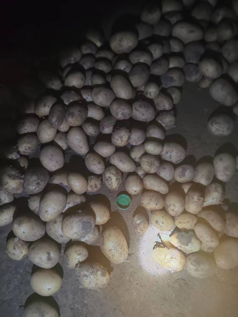 张北沽源县V7，价格合适欢迎到窑里来看货，只发整车。