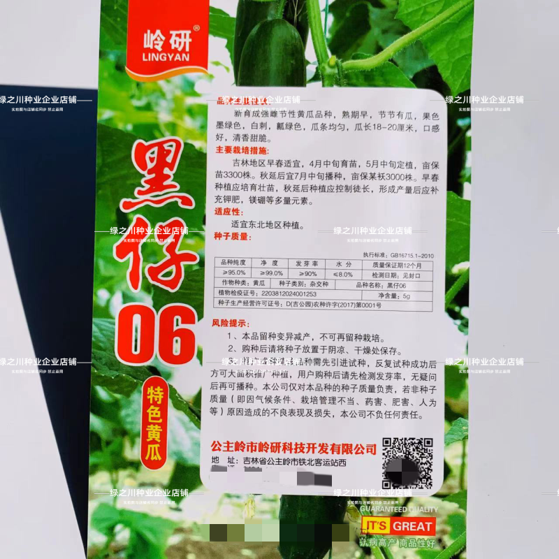 黑仔06清香甜脆水果黄瓜种子强雌节节有瓜特色墨绿色黄瓜