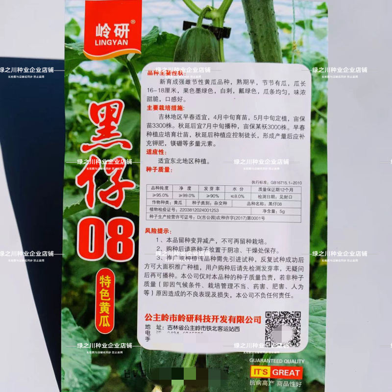 黑仔06清香甜脆水果黄瓜种子强雌节节有瓜特色墨绿色黄瓜