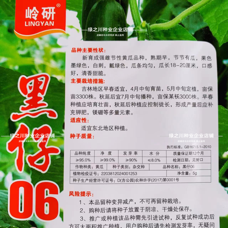黑仔06清香甜脆水果黄瓜种子强雌节节有瓜特色墨绿色黄瓜