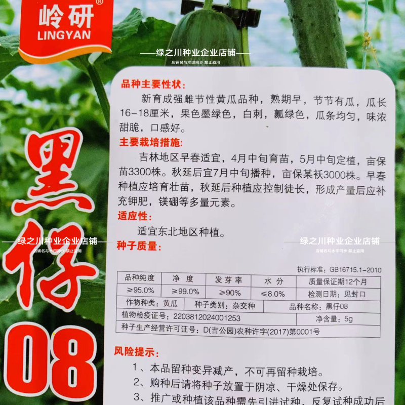 黑仔06清香甜脆水果黄瓜种子强雌节节有瓜特色墨绿色黄瓜