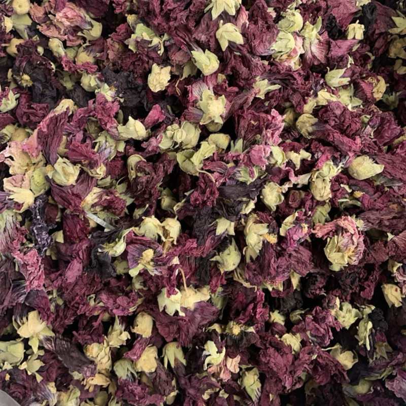 紫罗兰花大货批发