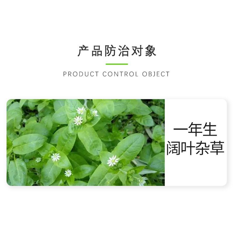 康乔小草帽10%乙羧氟草醚花生田苗后除马齿苋阔叶农药除草