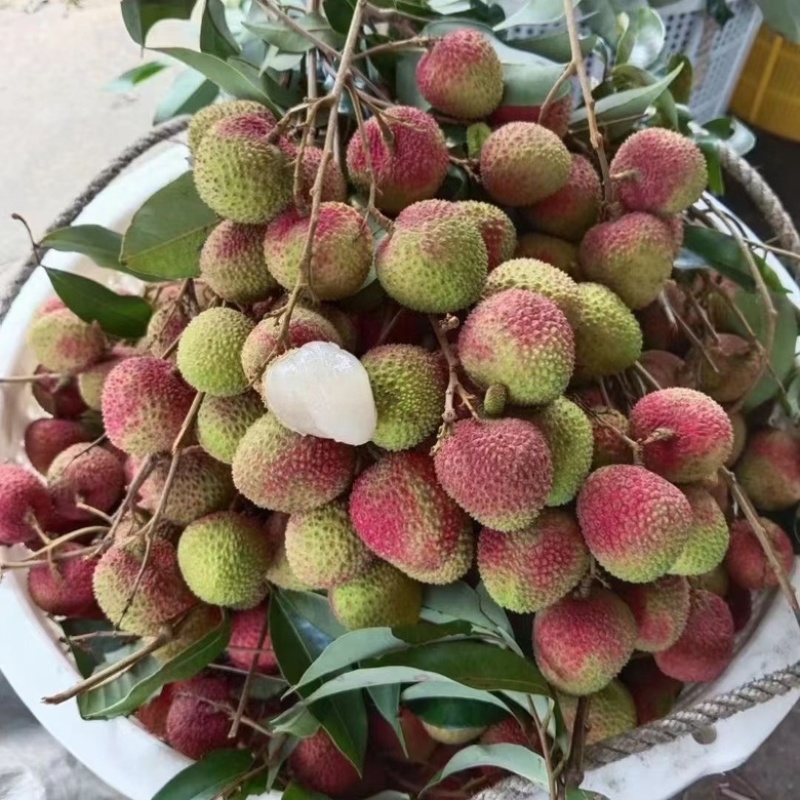 妃子笑荔枝