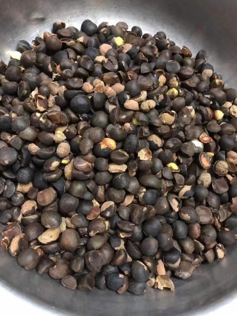出售家里老人在乡下自种自产自销的茶籽油