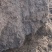 云南腐殖土