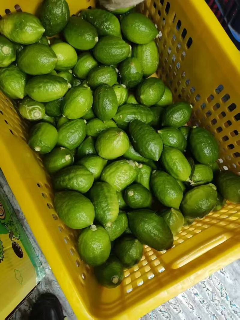 广东香水柠檬需要直接电联130-150克