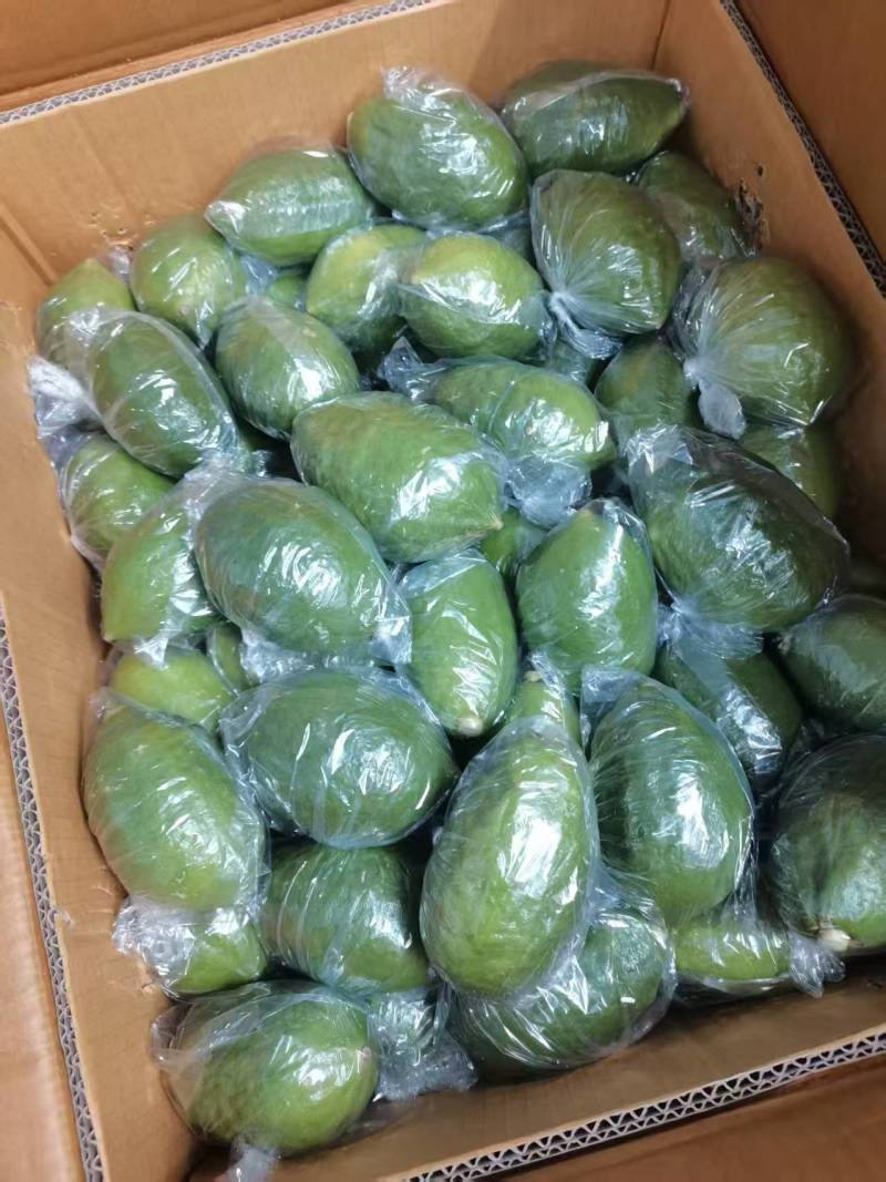 广东香水柠檬需要直接电联130-150克