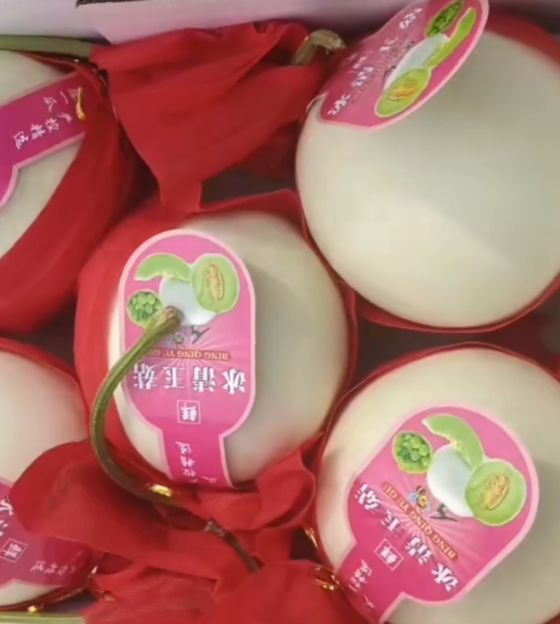 甜瓜玉菇皮薄瓜形正口感好诚信发货各大商超各大市场合作共赢