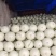 甜瓜玉菇皮薄瓜形正口感好诚信发货各大商超各大市场合作共赢