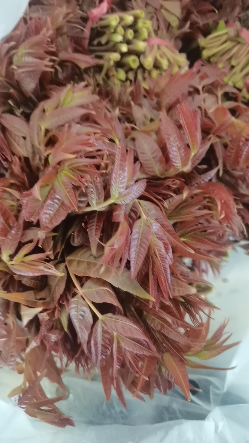 现货量大，欢迎电商