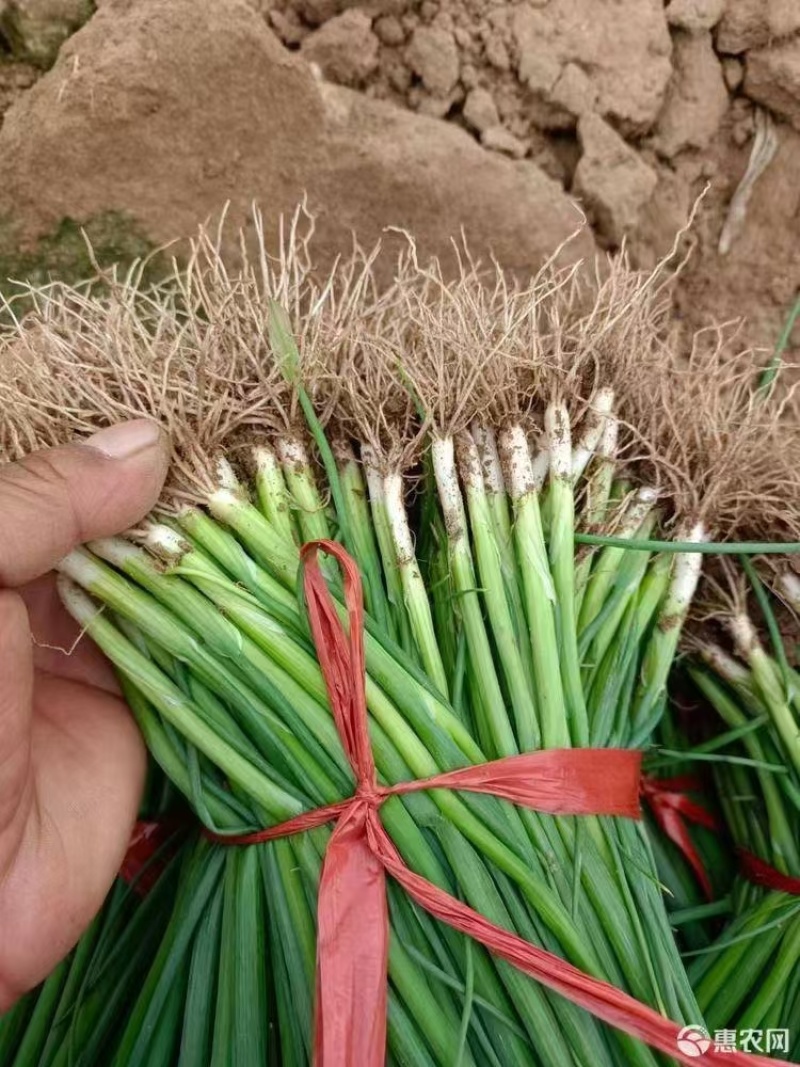 汉中香蕉箱二手香蕉箱纸箱装水果蔬菜箱一体纸箱