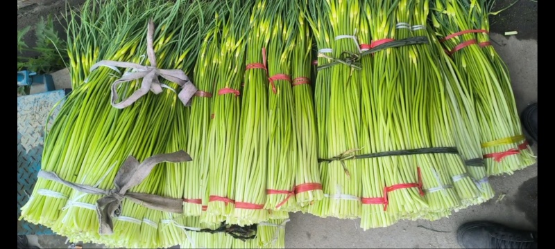 汉中香蕉箱二手香蕉箱纸箱装水果蔬菜箱一体纸箱