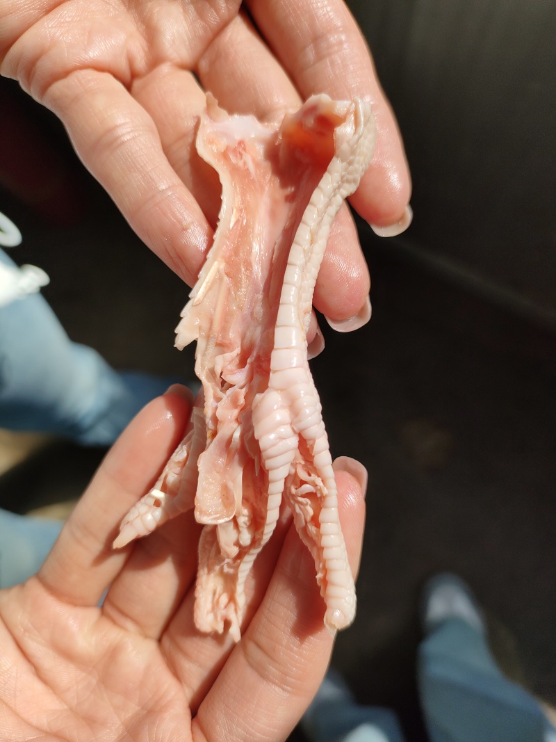 817脱骨鸡爪，精修普修都有货，量大支持定做。