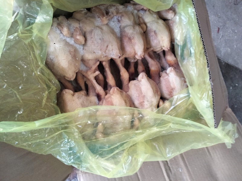 常年批发各种鸡货