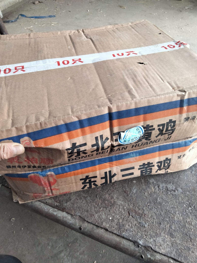 常年批发各种鸡货