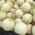 山东头茬玉菇甜瓜大量上市