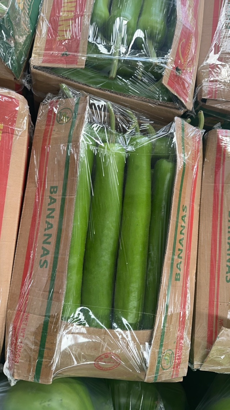 精品长瓠子