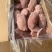 鸭大胸肉去皮鸭大胸单冻板冻精修全国冷链物流发货