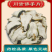 佛手片无硫佛手丝原生态正品佛手批发各种规格