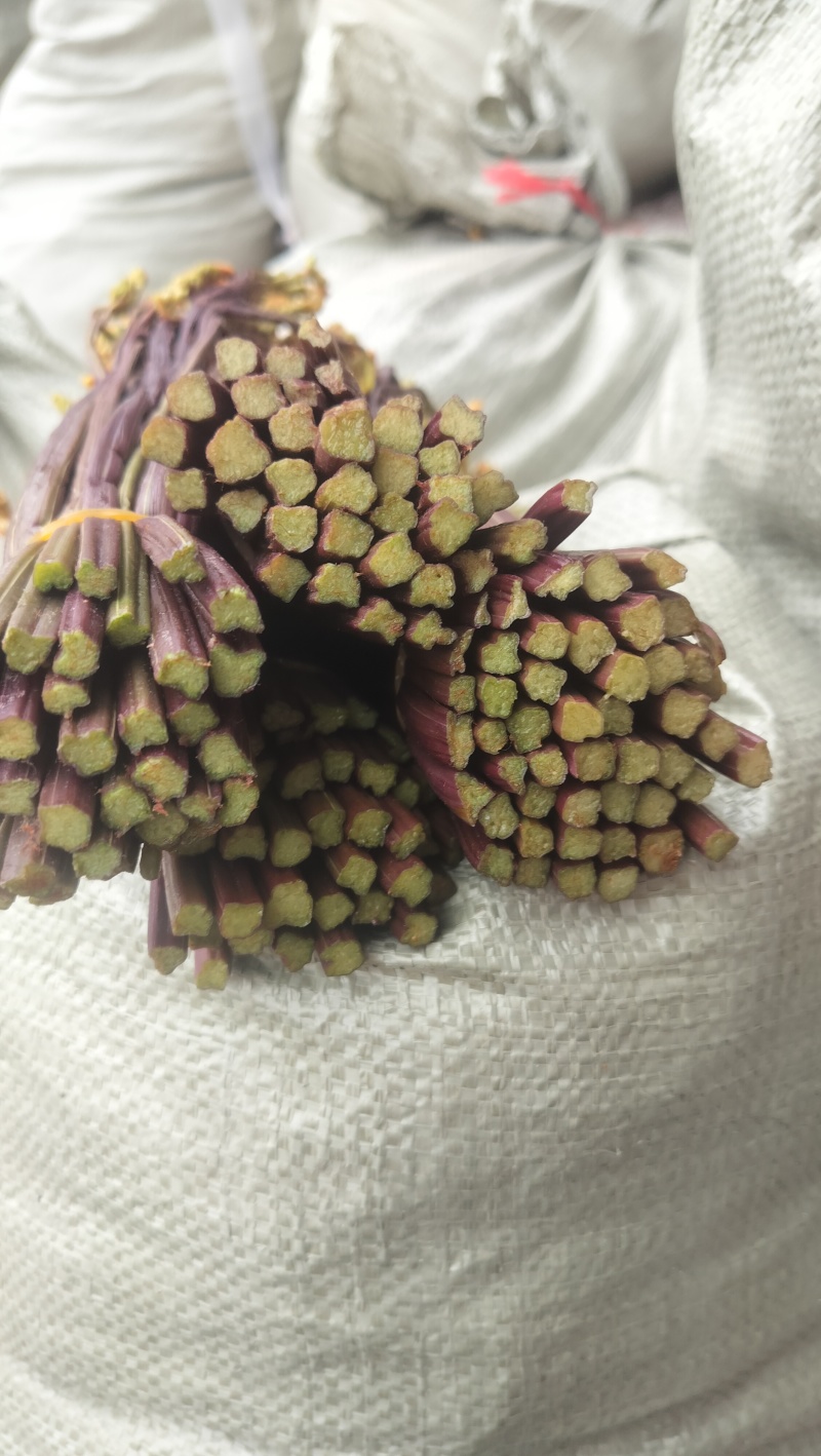 贵州蕨菜甜蕨苦蕨都有
