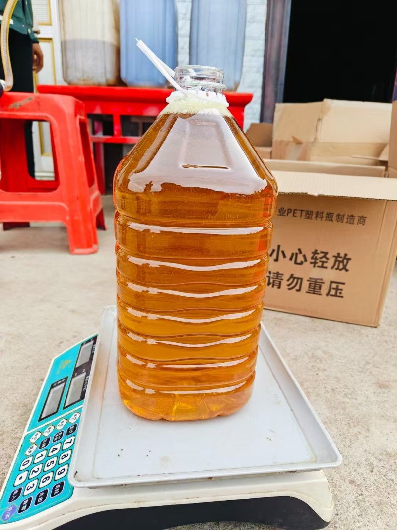 纯正老品种山茶油