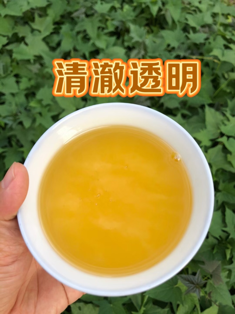 纯正老品种山茶油