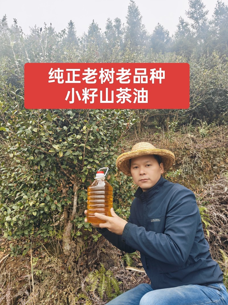 纯正老品种山茶油