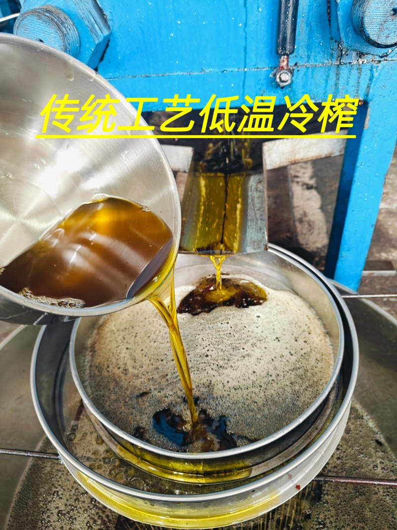 纯正老品种山茶油