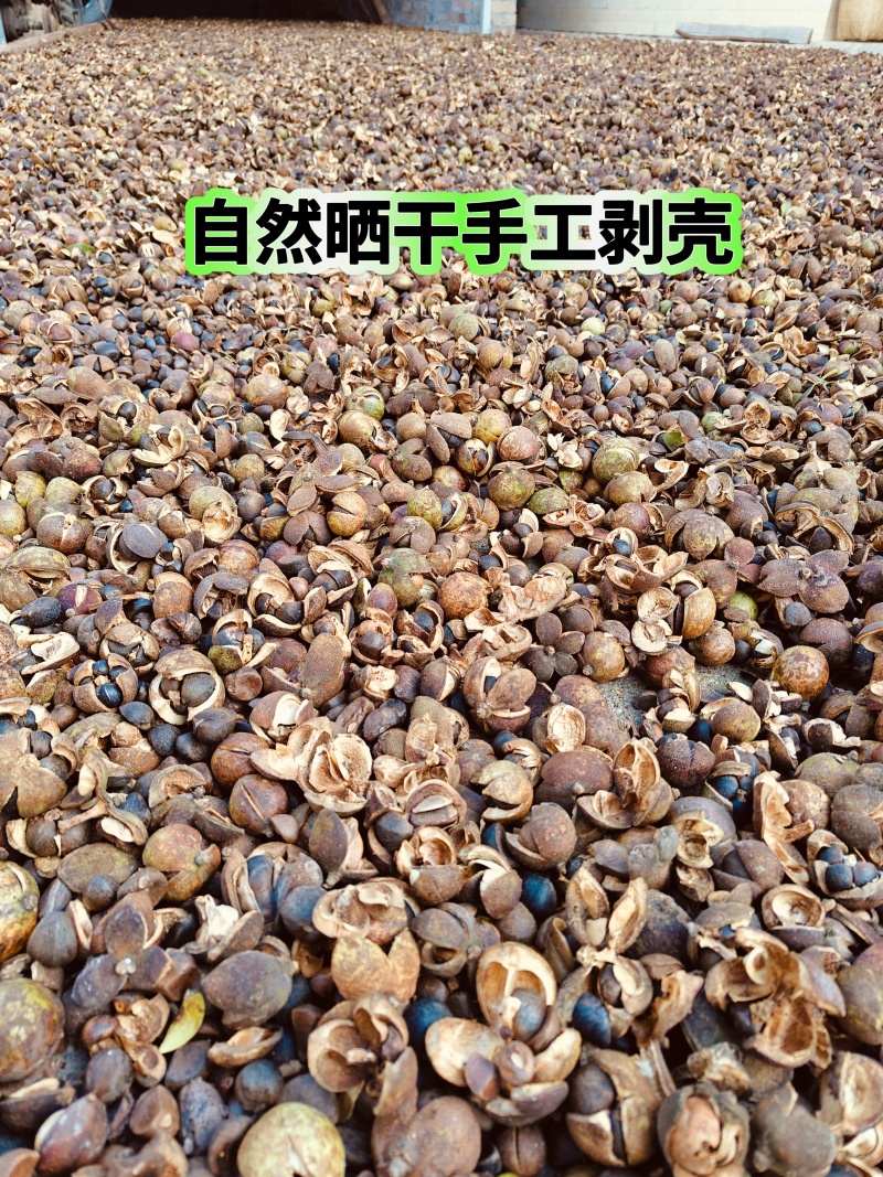 纯正老品种山茶油