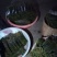 贵州蕨菜甜蕨苦蕨都有