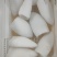墨鱼筒