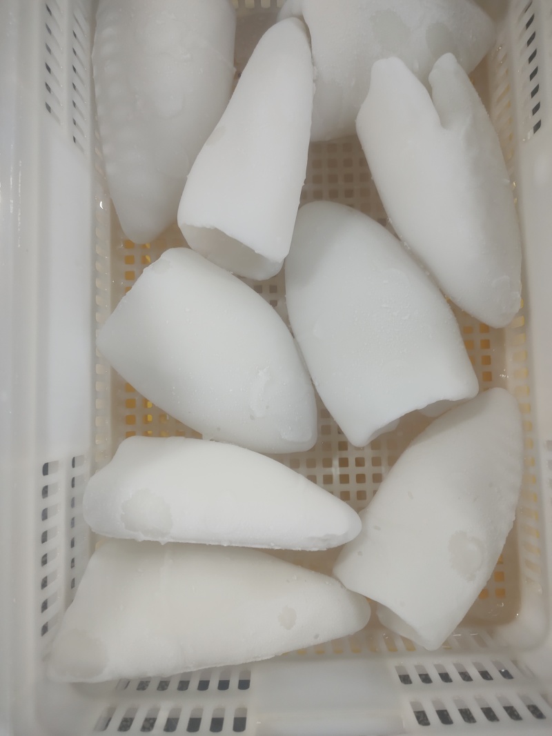 墨鱼筒