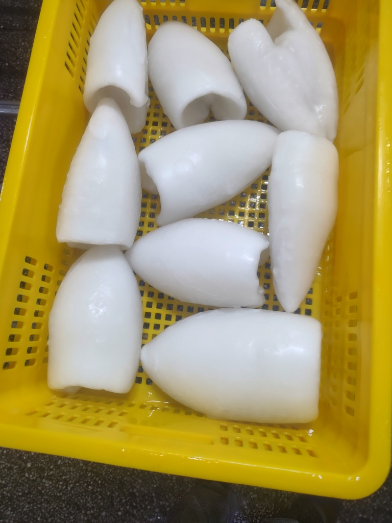 墨鱼筒