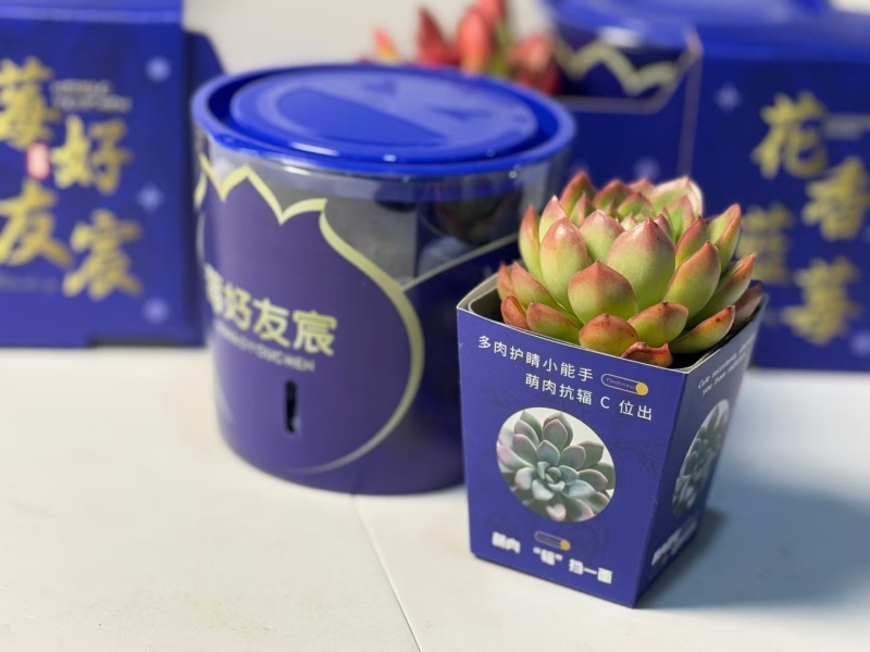 云南花香蓝莓，现货供应，保质保量，口感杠杠好