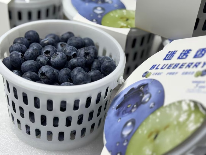 云南花香蓝莓，现货供应，保质保量，口感杠杠好