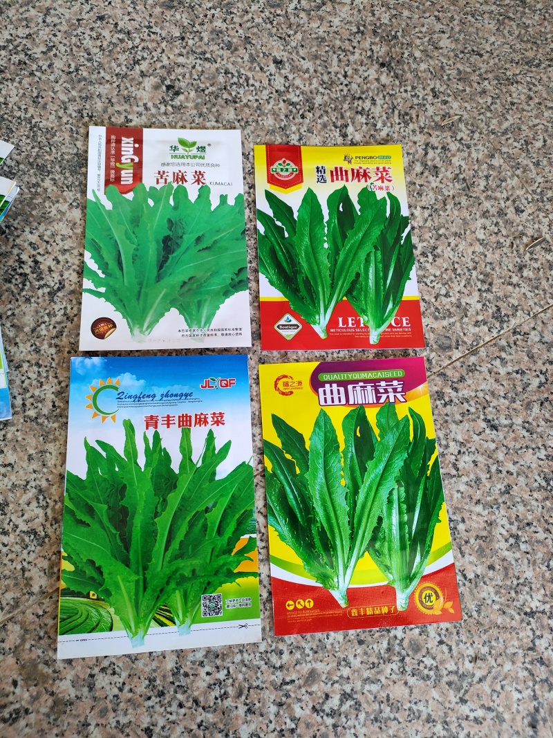 苦荬菜种子养鹅四季牧草猪鸡鸭鹅鱼草籽苦麻菜苦麦菜苦买菜苦
